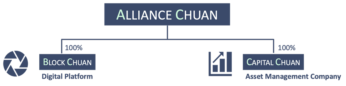 Platform Structure Diagram